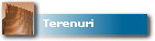 Terenuri